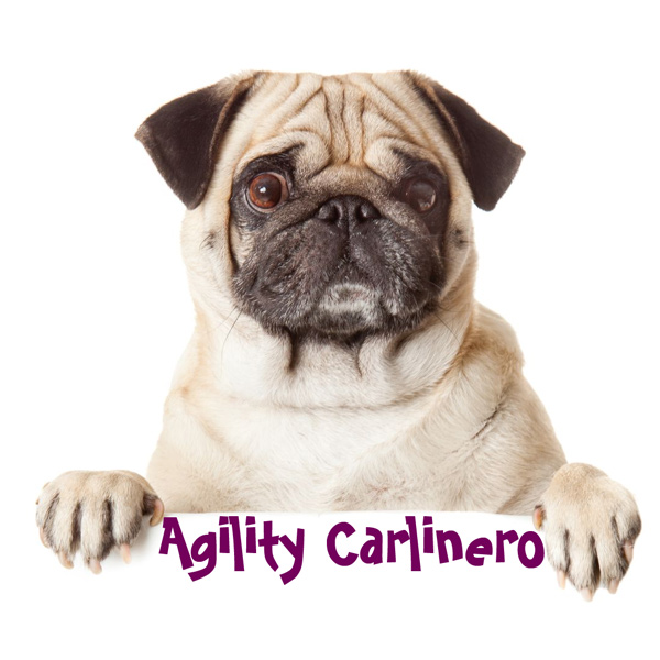 agility