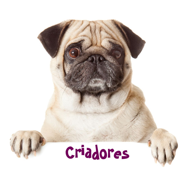 Criadores
