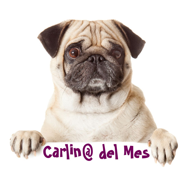 Carlin@ del mes