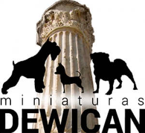 Miniaturas de Dewican | Córdoba - España