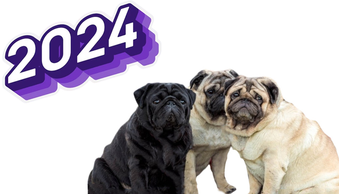 Nombre para perro más popular de 2024